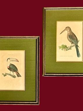 Pair 1815 Hand Colored Bird Copperplate Engraving Prints Naturalist Ornithology